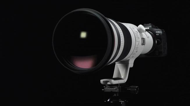 哪里能买到佳能rf800mmf5.6定焦镜头,佳能rf600与佳能rf800mm对比图