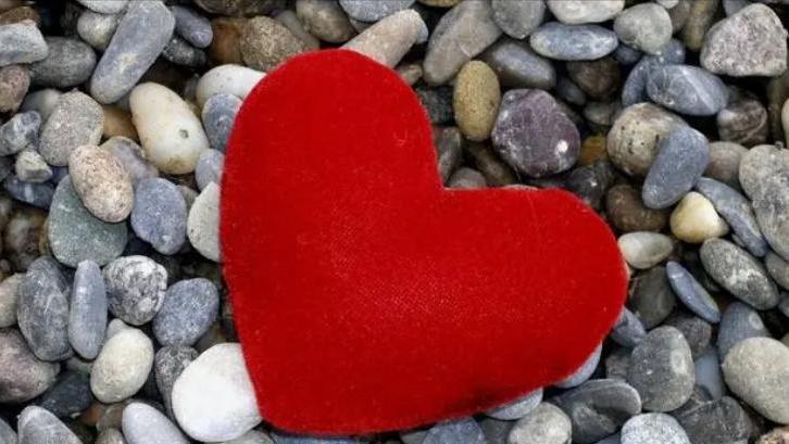 想要得到女生的芳心就得舍得花钱,想要得到一个女人的心靠什么