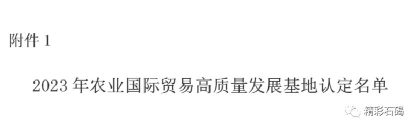 润丰农业集团,润丰集团股份