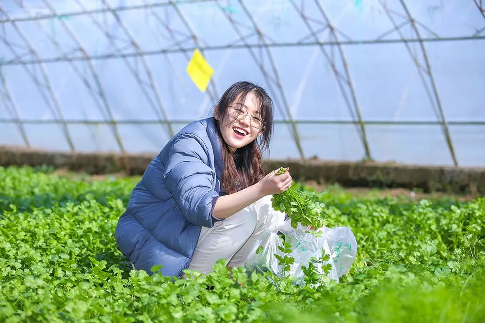 通汇资本投融资管理,通汇资本公司简介