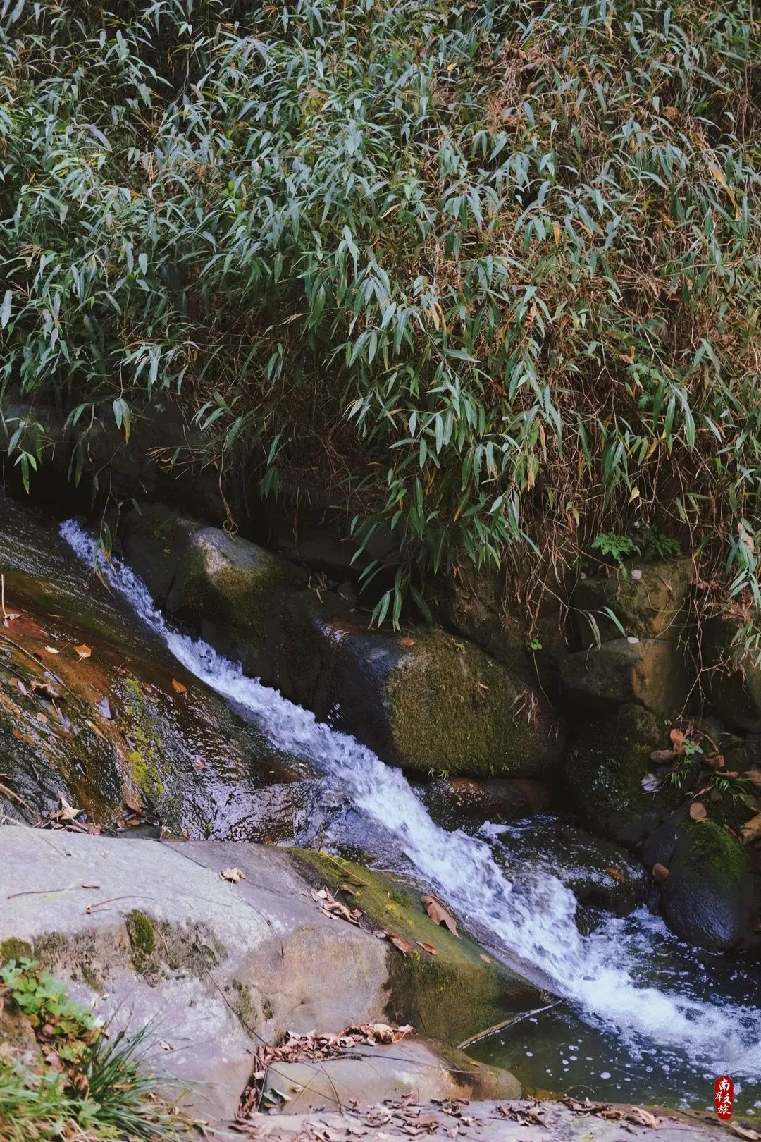 邂逅南岸的100个瞬间,推荐一个好地方南岸公园