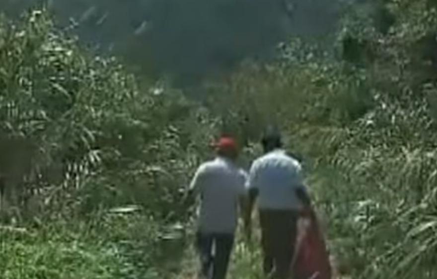 浙江“食蚁村”：人人吃蚂蚁，每天消耗百斤，蚂蚁越吃越多，为啥