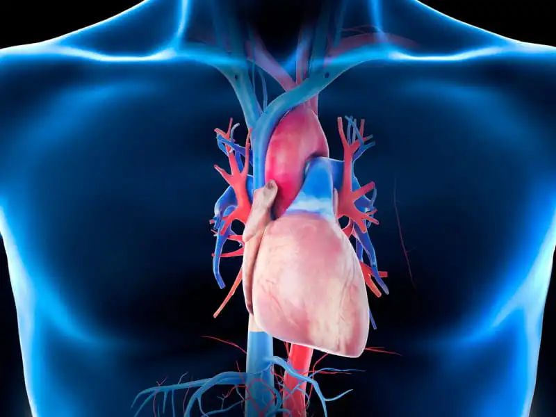 22岁网红突然意外去世,21岁网红猝死事件