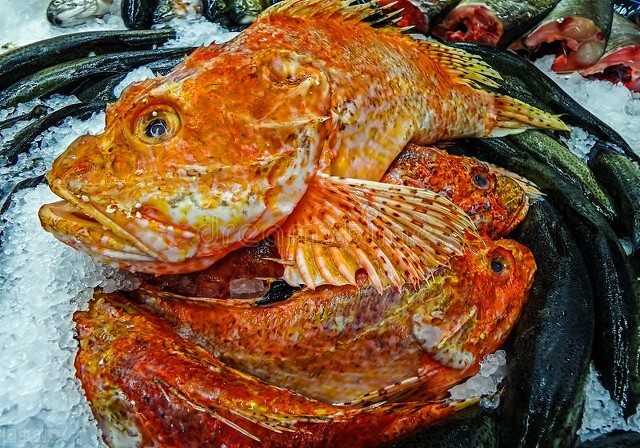 美国新泽西州生活习惯和饮食文化,谈谈美国的历史