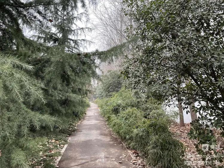 钗头凤江南冬日暖,钗头凤沐春风