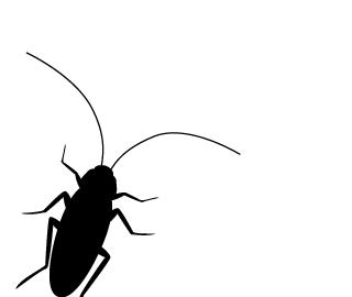 男子发现隔壁女租客房门口爬满蟑螂，开门一看吓懵：密密麻麻一屋