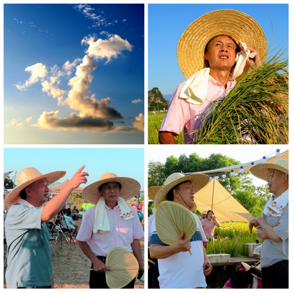 漓江边的“水淹田”,不仅是“稻坚强”,竟还传出天籁之音