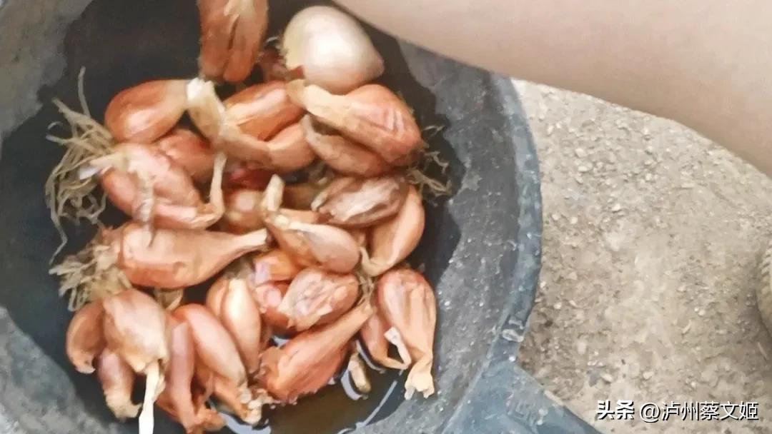 小葱怎样种植才能长得又粗又壮,小葱的种植技巧与管理方法