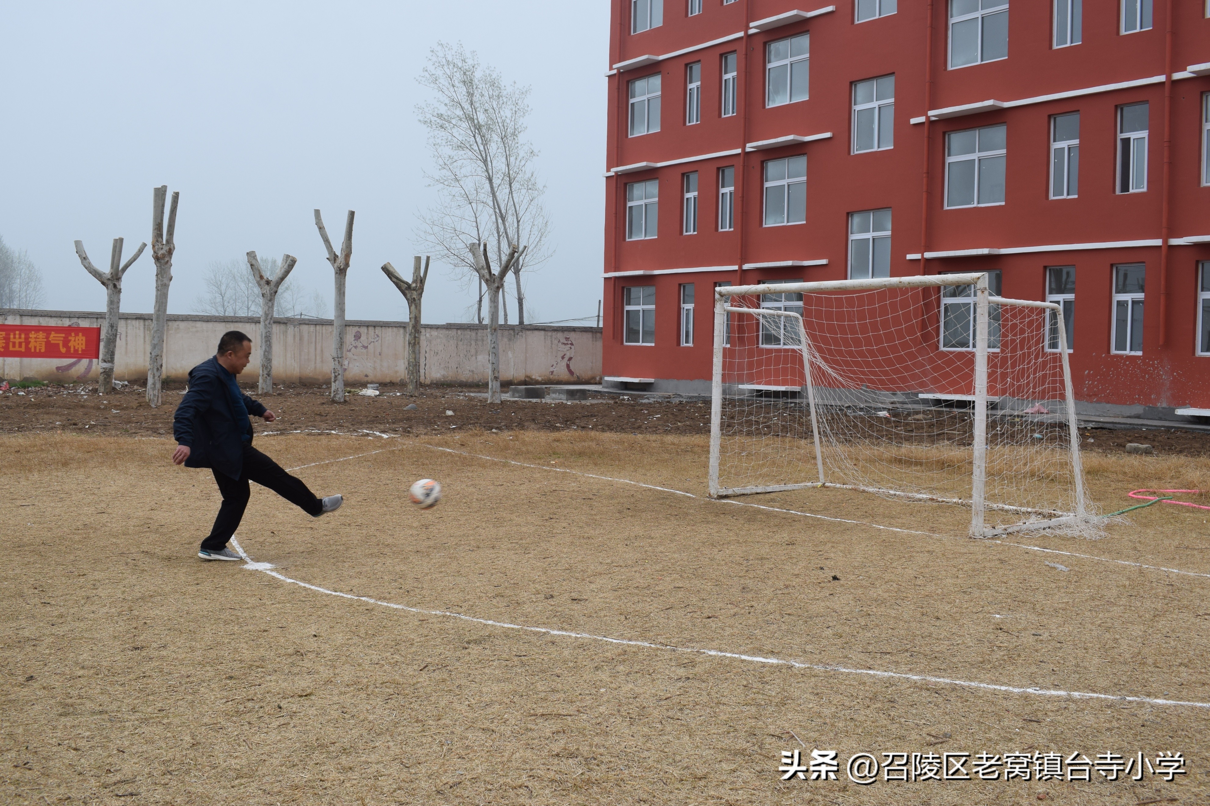 召陵区台寺小学,漯河市老窝镇台寺小学