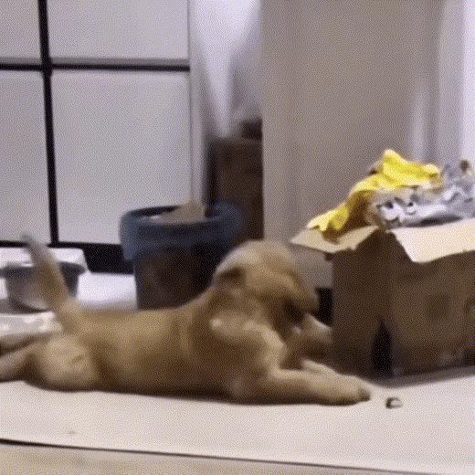 玩藏头，乐无穷2