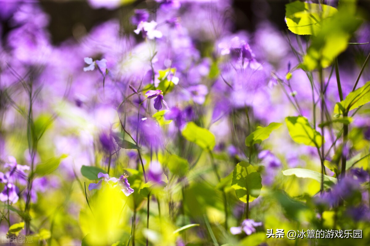 出院拔针,再次住院要相隔多少天才能报销