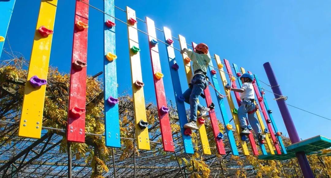 【轿子山文化旅游节】云南·禄劝2023年轿子山文化旅游节最全攻略来啦（图文版）！