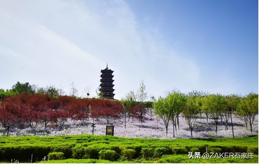 石家庄早新闻,早新闻完整内容