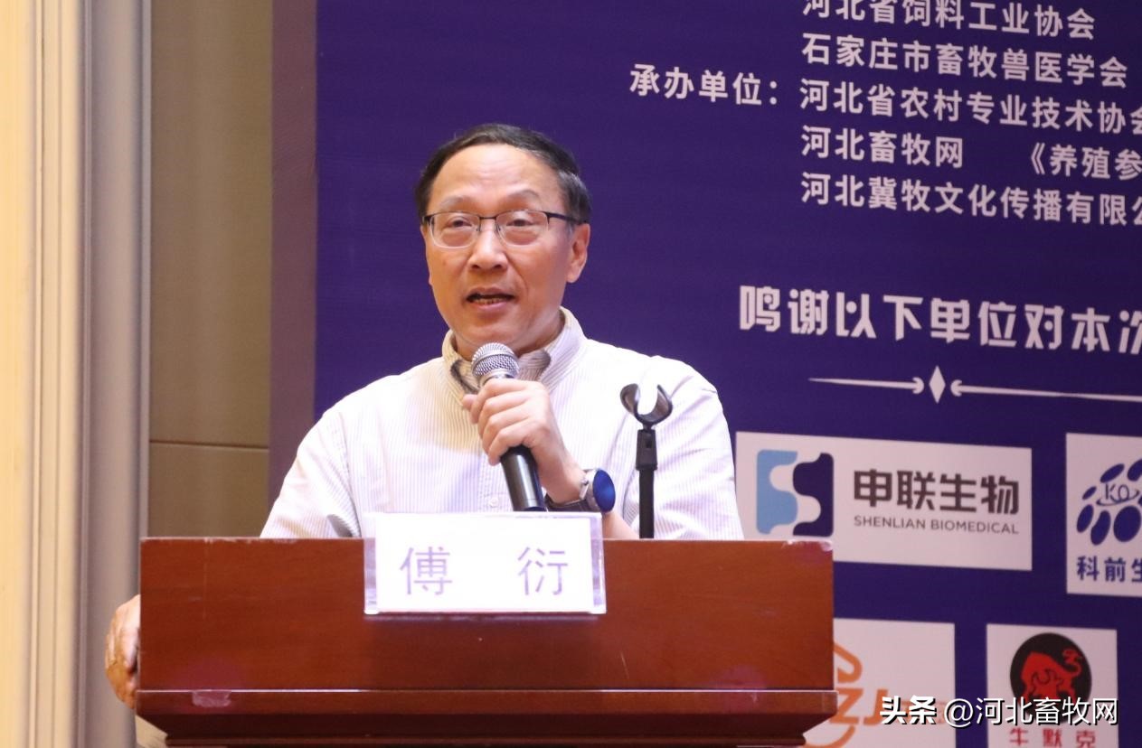 养猪技术交流讲座,养猪技术大会