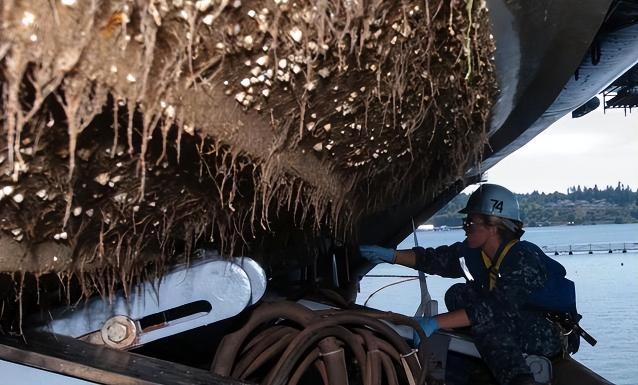 每次航线结束能刮下十多吨海鲜，都到海鲜市场了？这种海鲜吃不得