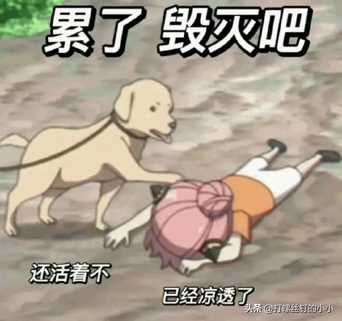 *今条头日**,抖音中视频计划,写小说这些赚钱的渠道你都试过几个?