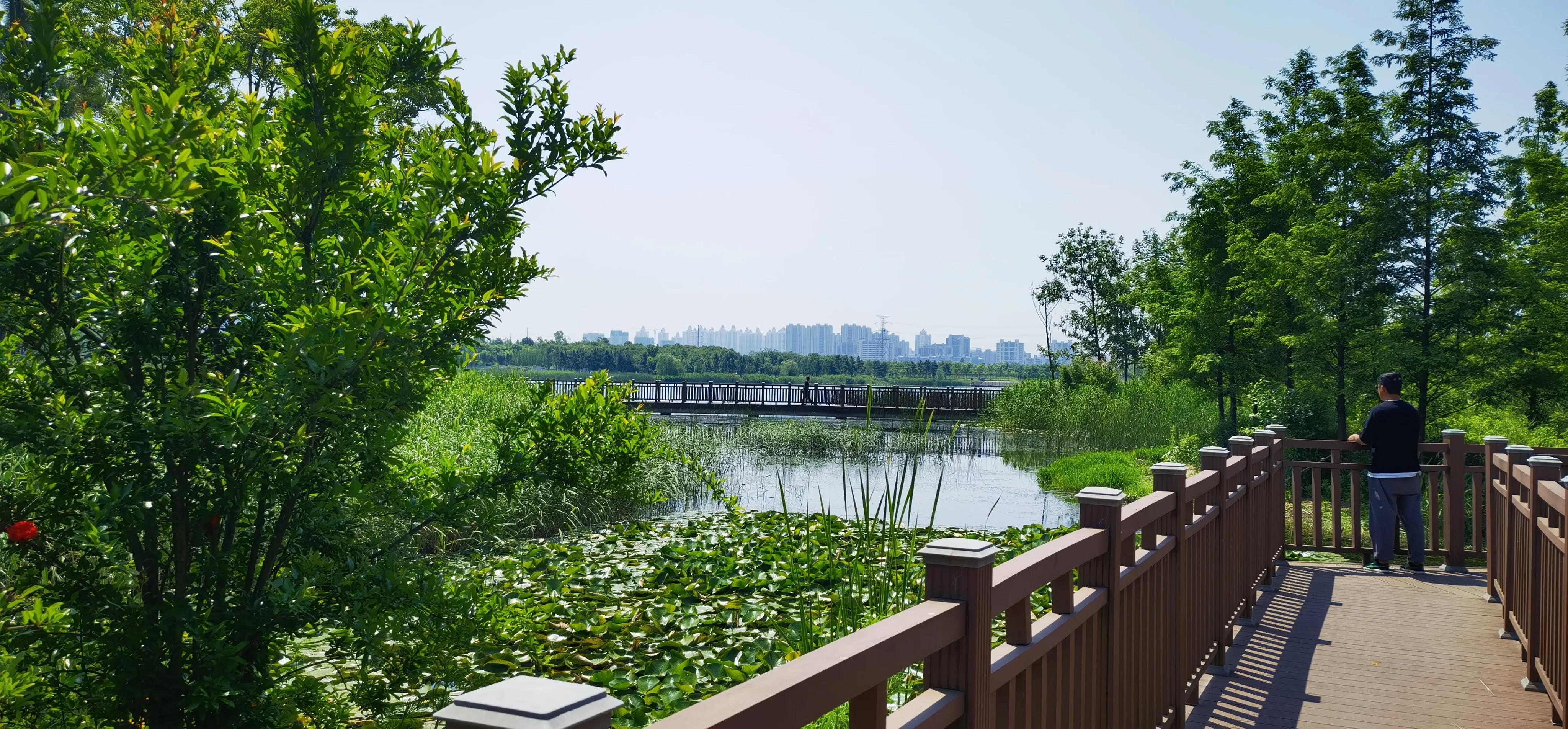 合肥晚上带娃好去处,合肥附近带两个娃去哪里玩