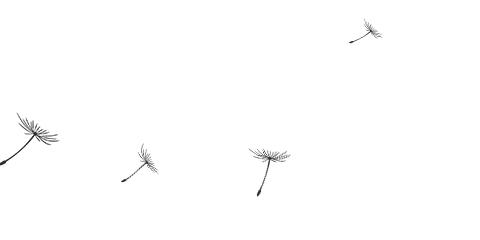 自然跌水景观,水幕瀑布跌水景观效果图