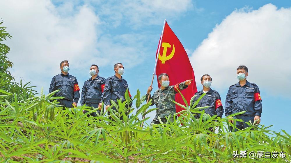 云南出席*党**的二十大代表,背后都有哪些故事?