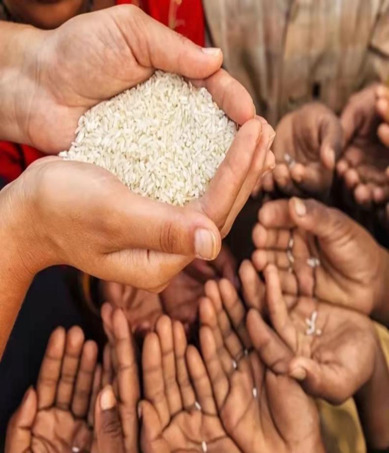 北大荒为什么要退耕还荒,北大荒退耕是什么时候