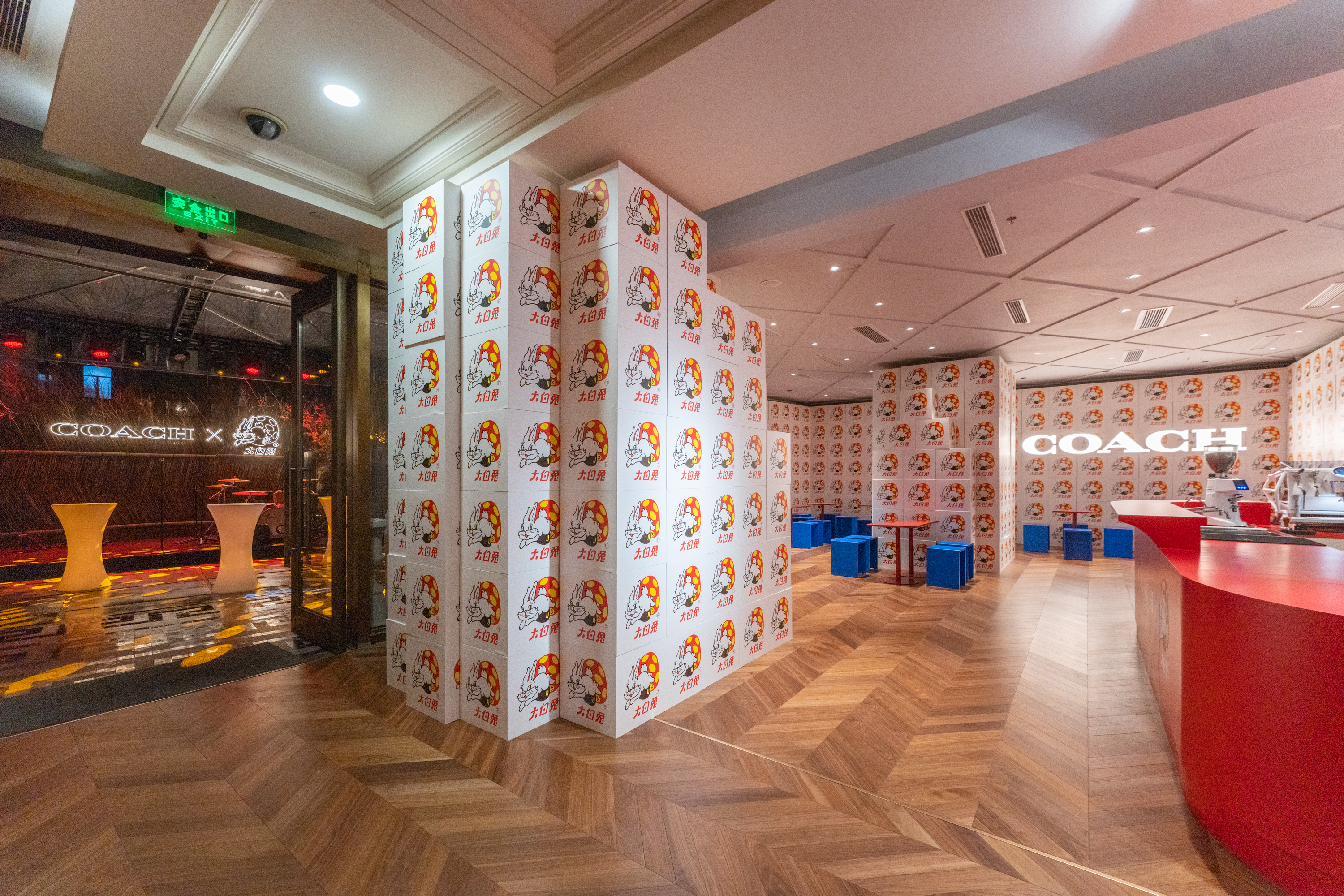 群星助阵,各大明星助阵开幕式