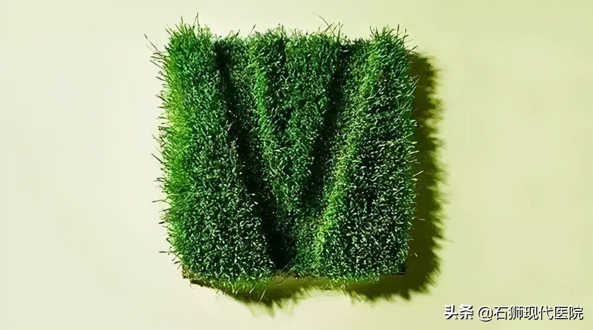 你真是我见过最好看的女孩英文,你是我见过最有女人味