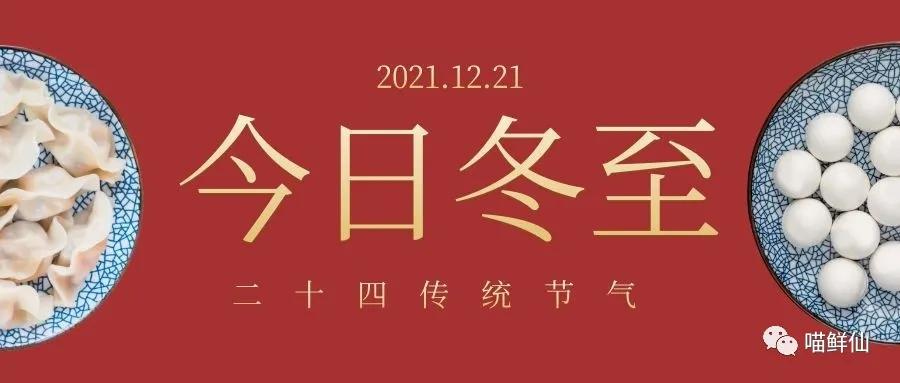 冬至不吃饺子和猫有什么关系,南方冬至猫咪吃汤圆