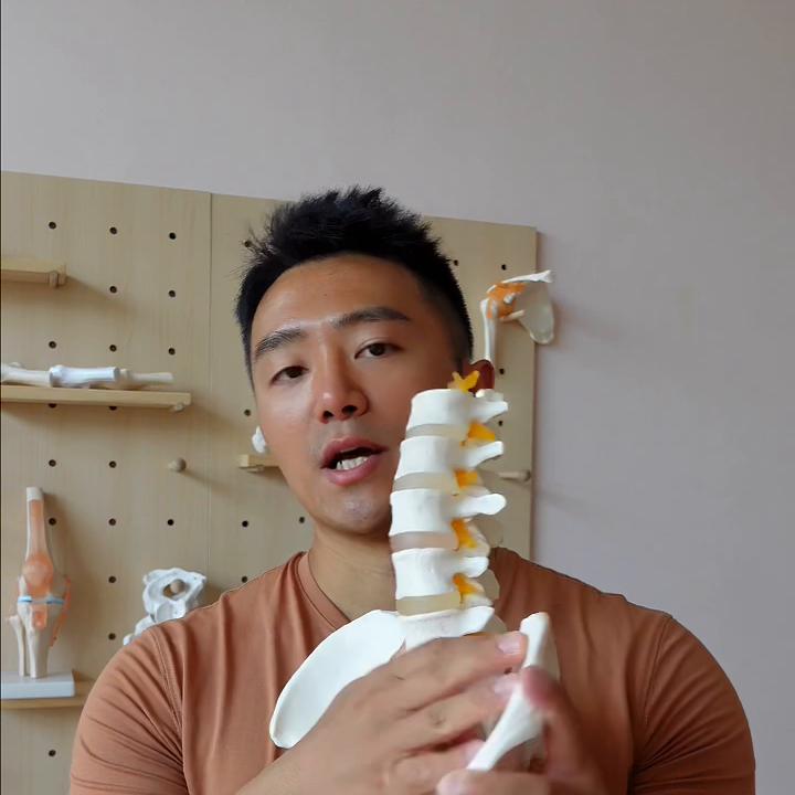 骨盆形变,张力解除优先,臀部训练靠后加入群聊,获取课程...