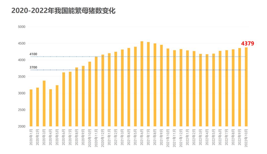 猪价持续下跌养殖户面临的困难,猪价涨了为什么养猪的股票不涨