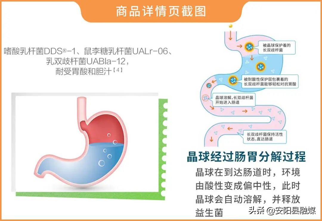 吃什么修复肠道菌群,食物不耐受适合吃哪款益生菌
