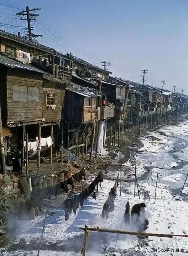 世事沧桑难得一回,世事沧桑难得醉图片