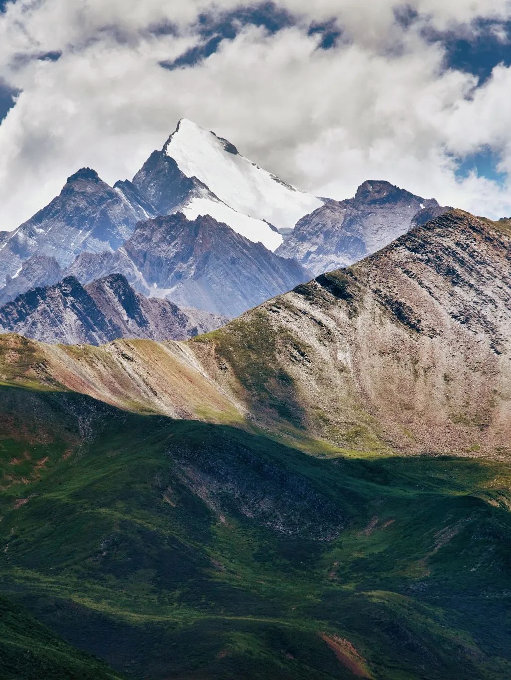 美酒成都,成都的美酒