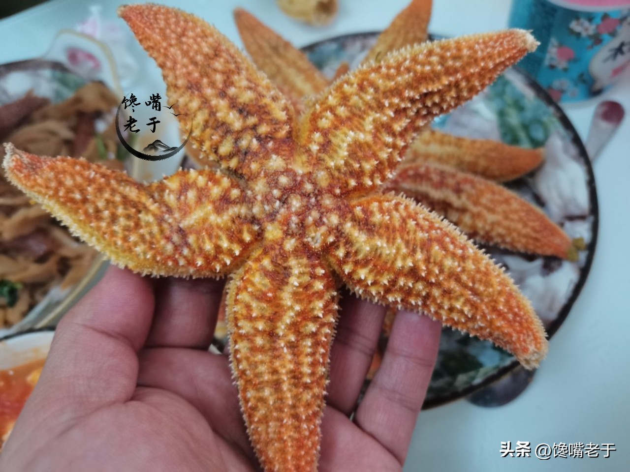 不要在乎价格,不要在乎旅游多少钱