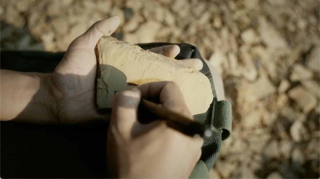 科普电影十大巅峰之作,科普电影重回大荧幕令人惊艳