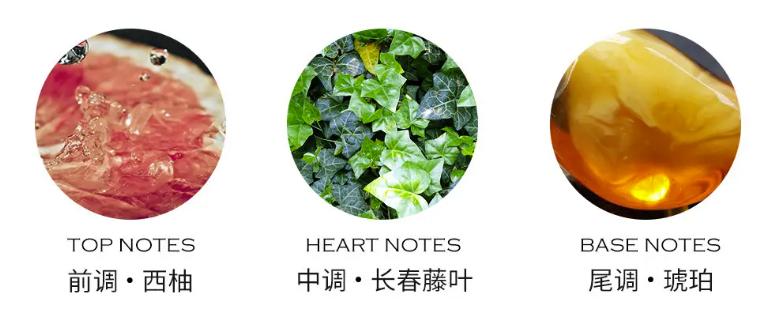 大牌橘子味香水留香久,适合夏天的清新淡香水推荐男士用