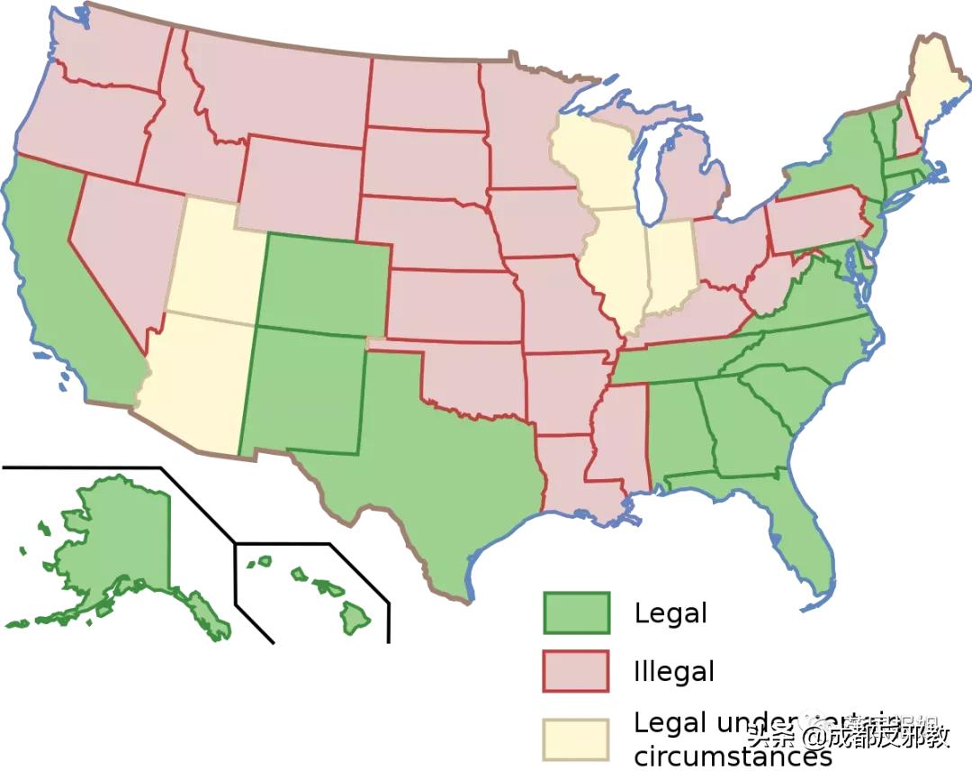 懵了！美国家长想和亲生孩子结婚，推*伦乱**合法化，竟然还有支持者？