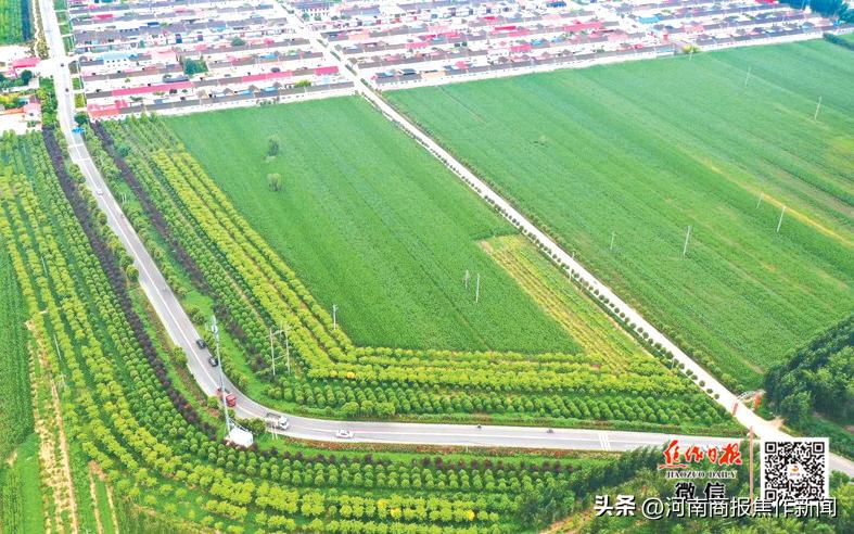 焦作城乡一体化示范区文昌街道,焦作文昌街道四城联创