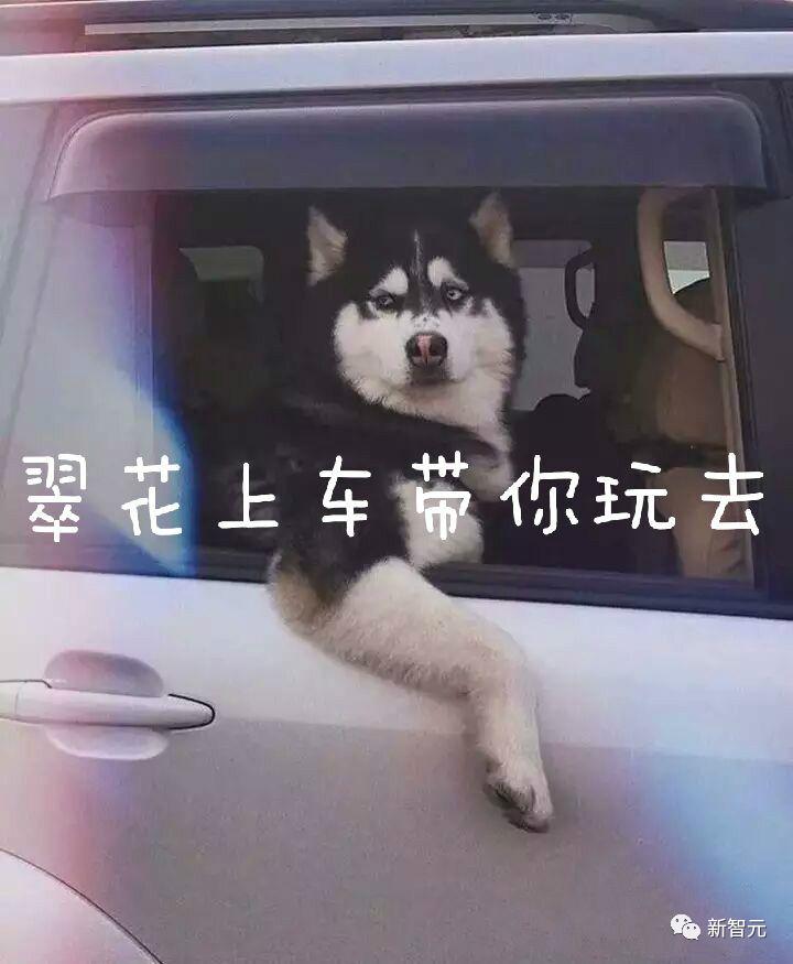 MarketingGPT掀翻千亿美金市场！首个带货AI全家桶，不玩就out了