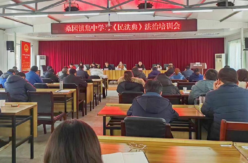 西乡县桑园镇多措并举推进依法行政