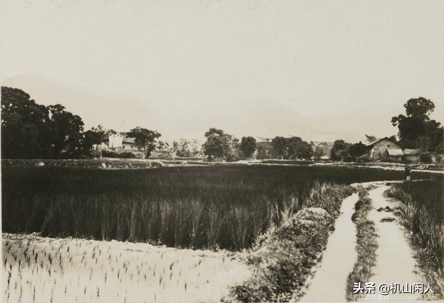 南岳衡山八十年代老照片图库,南岳衡山古画图片