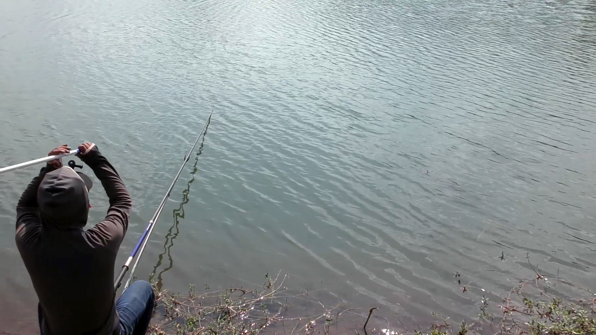 冬季水库野钓草鱼的最佳方法,夏季晚上野河钓草鱼技巧