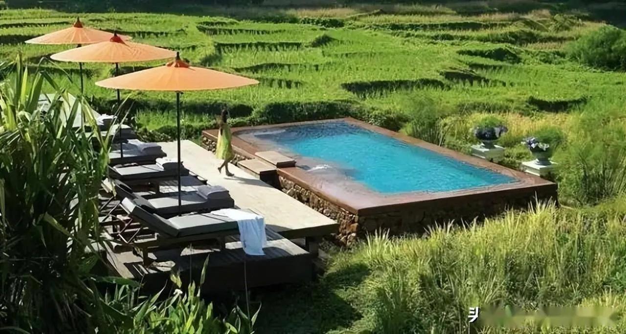 谭正平农业专家简历图片高清版,重庆市农科院谭正平