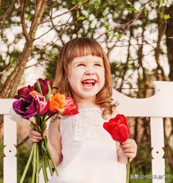 郁金香迫击炮,郁金香的养殖方法