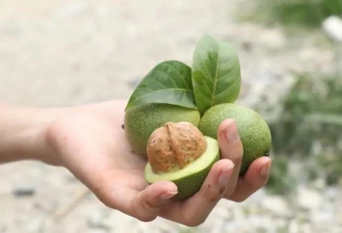 新鲜核桃怎么剥皮,生核桃怎么剥皮用袋子装着可以吗