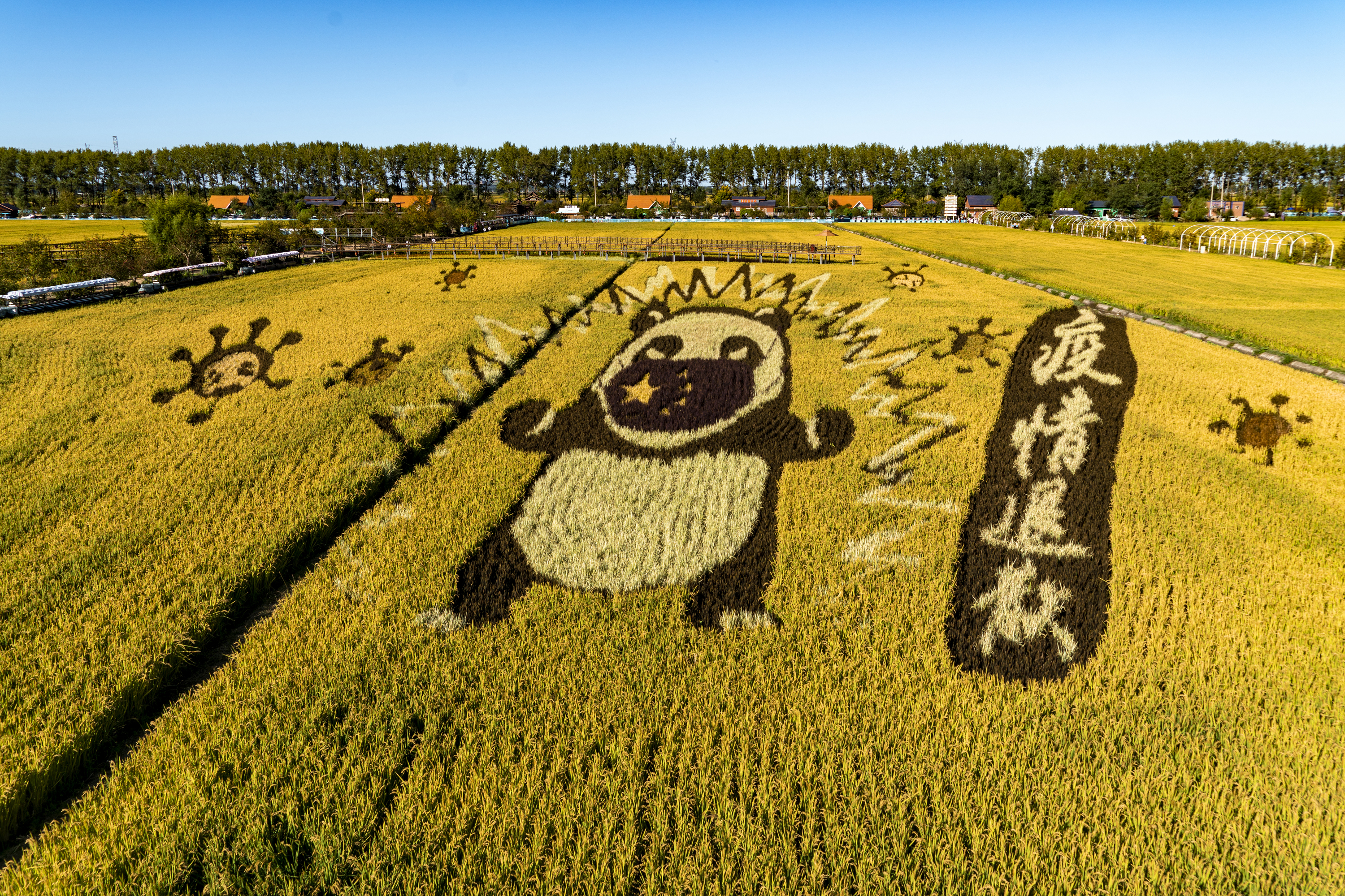 沈阳市稻梦空间,沈阳稻梦空间附近农家院