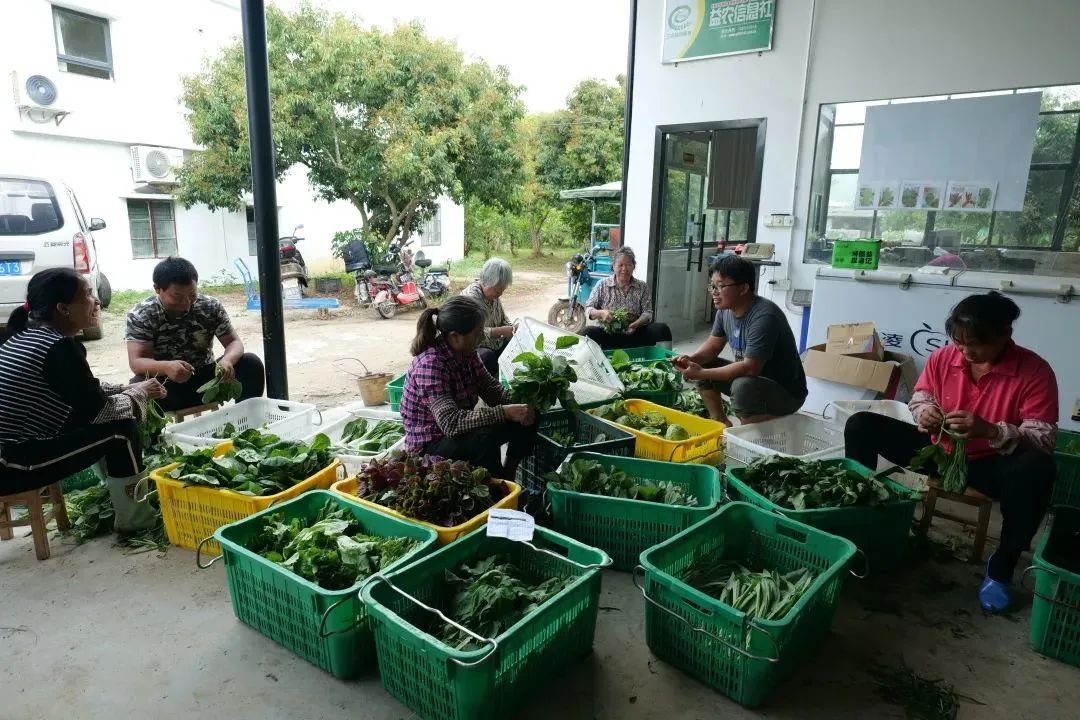 电商助农运营总结,电商助农营销计划