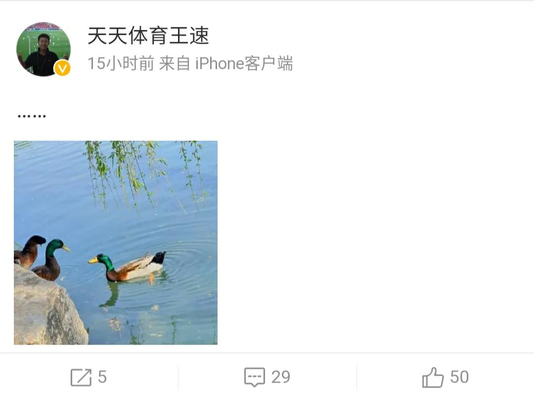 新闻聚焦：《天天体育》节目组“人才辈出”！“骂人”不留底线