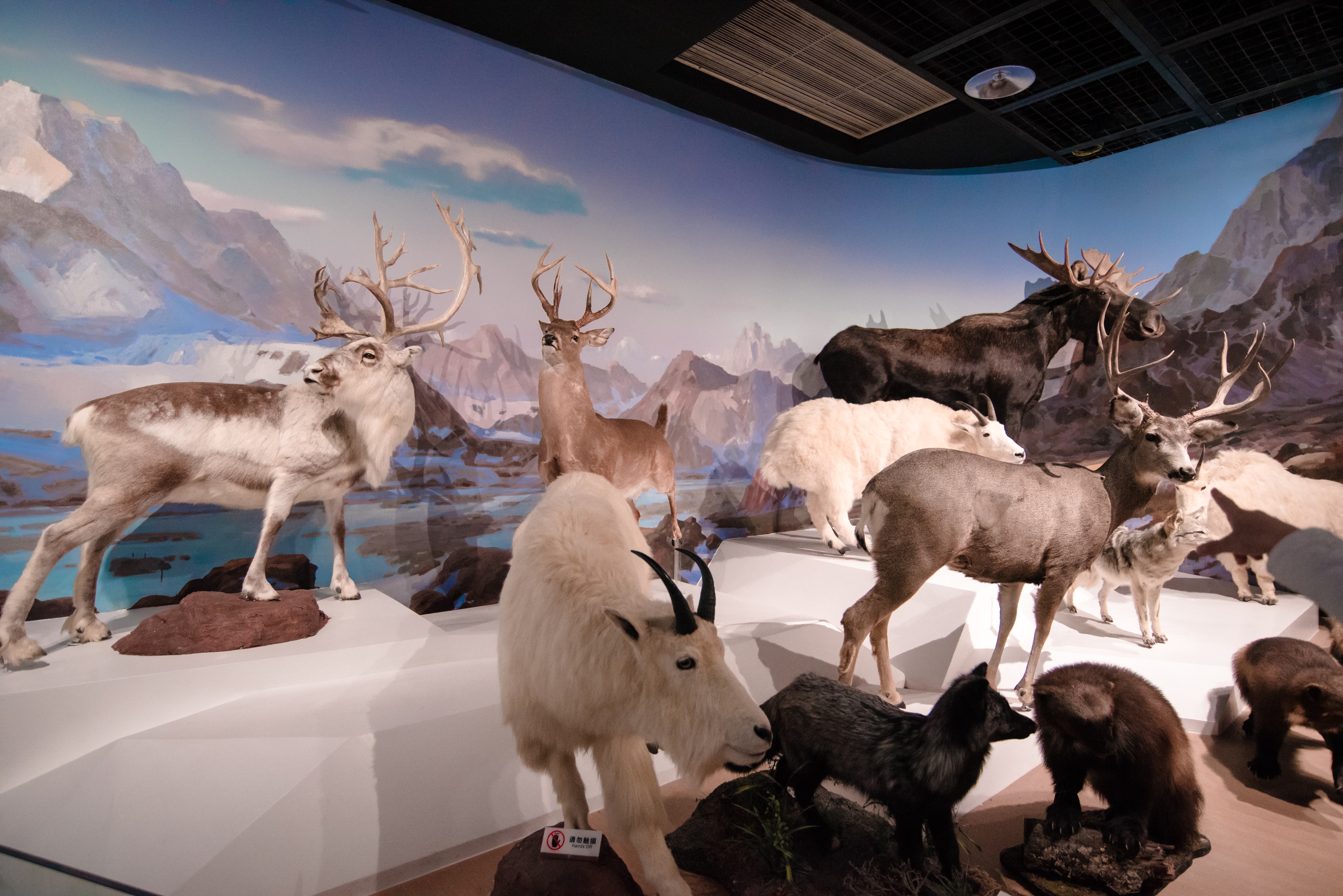 西安亲子游景点大全集,西安游玩攻略景点大全亲子