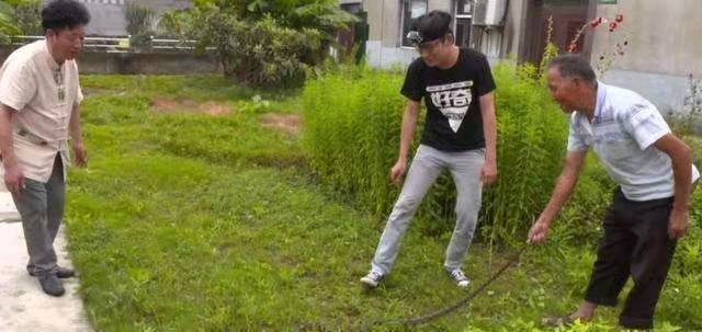 俗语中打蛇打七寸指的是哪个位置,打蛇打七寸指什么地方