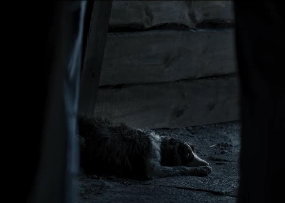 《无名》导演程耳：王一博会有变化，但这个很微妙